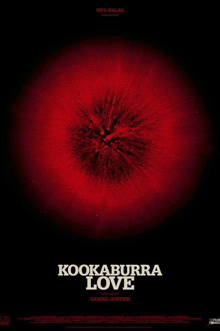 Kookaburra Love