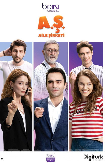 Aile Şirketi