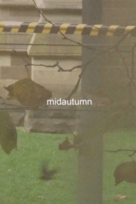 midautumn