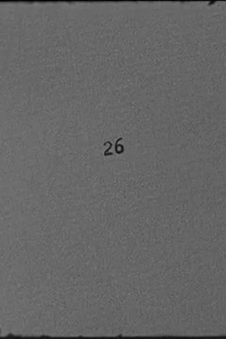 26