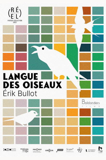 Language of Birds