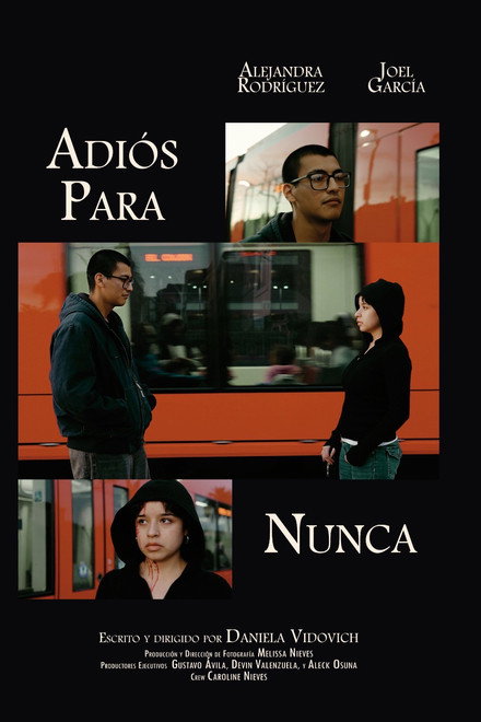 Adiós Para Nunca