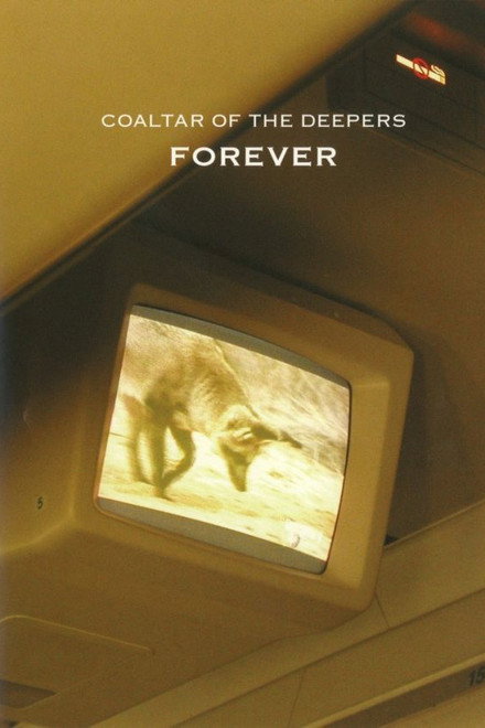 Coaltar Of The Deepers - Forever