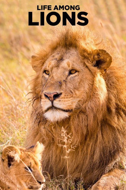 Life Among Lions