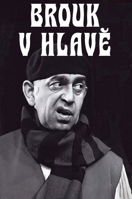 Brouk v hlavě