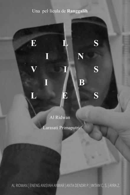 The Invisibles