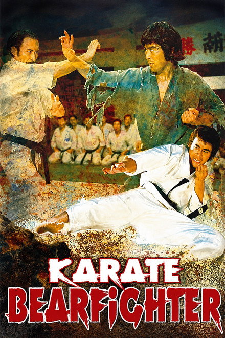 Karate Bear Fighter