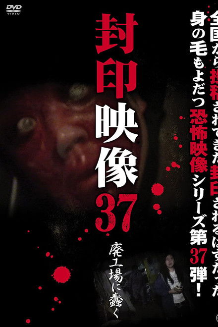 Sealed Video 37: Wriggle in an Abandoned Factory