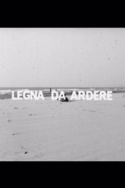 Legna da ardere