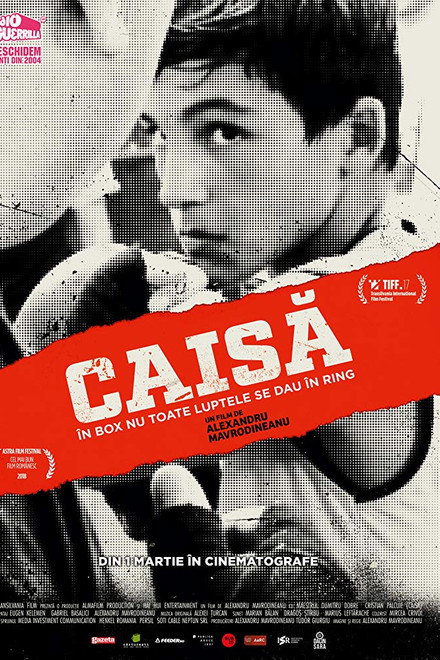 Caisă