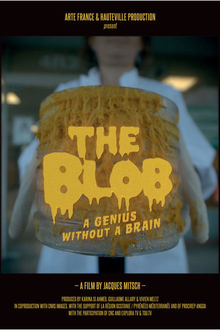 The Blob: A Genius without a Brain