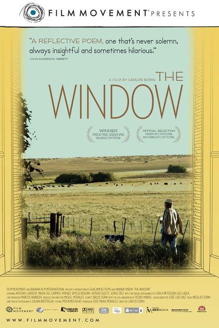 The Window
