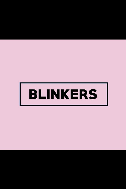 Blinkers