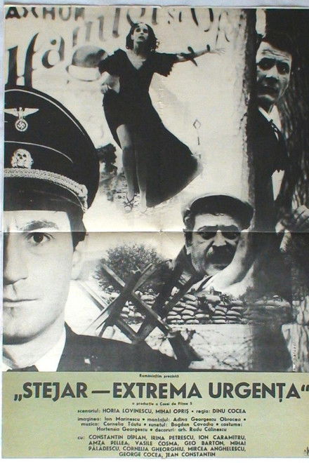 Stejar, extremă urgență