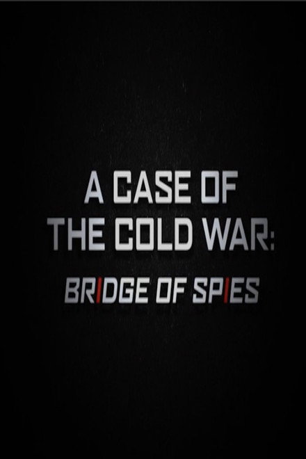 A Case of the Cold War: Bridge of Spies