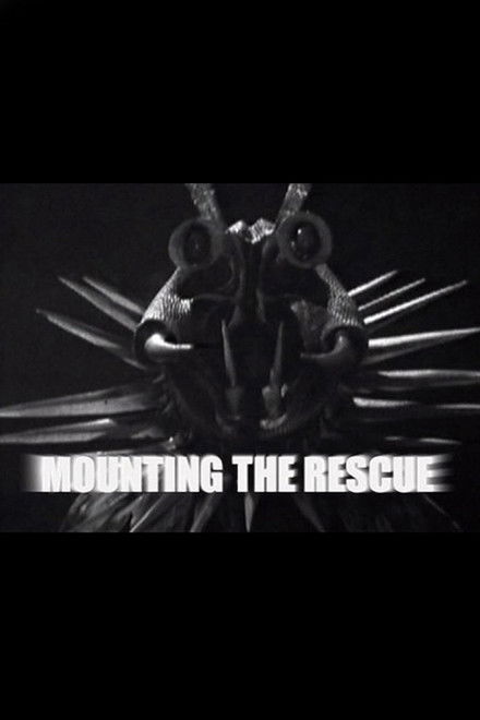 Mounting the Rescue