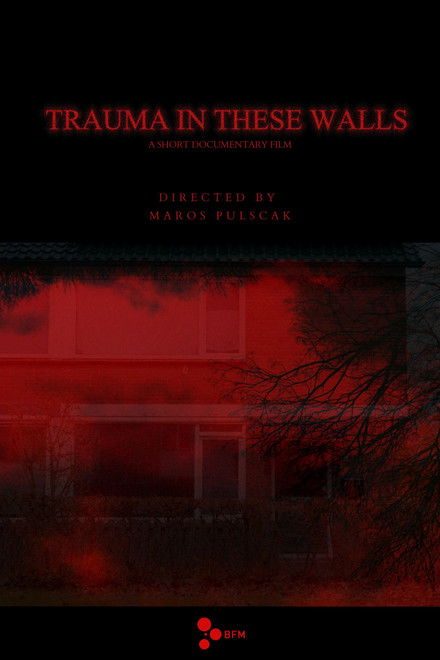 Trauma in These Walls