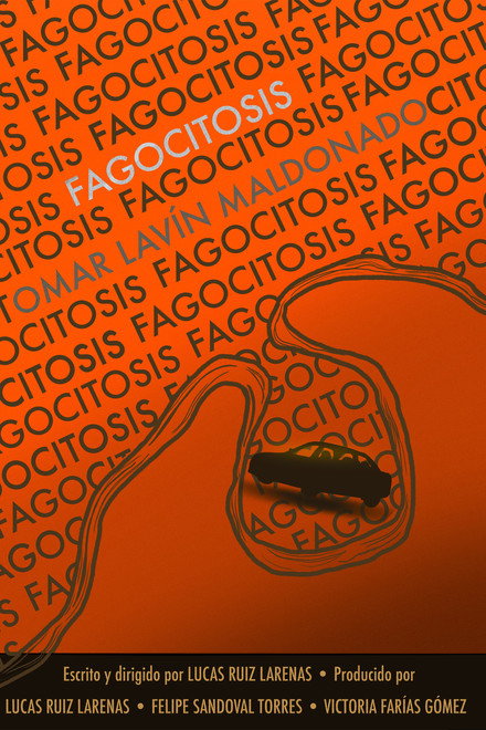 Fagocitosis