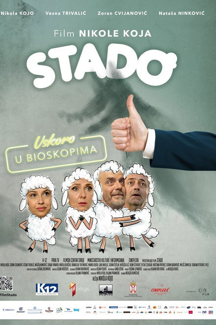 Herd