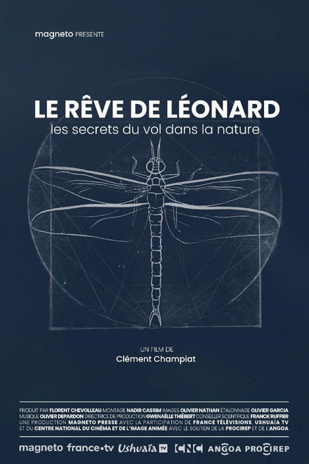 Le rêve de Léonard : Les secrets du vol dans la nature