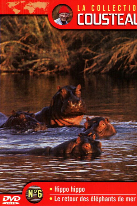 The Cousteau Collection N°6-1 | Hippo, Hippo