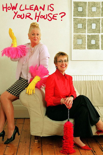 How Clean Is Your House?