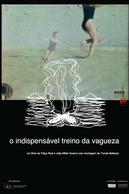 The Indispensable Practice of Vagueness