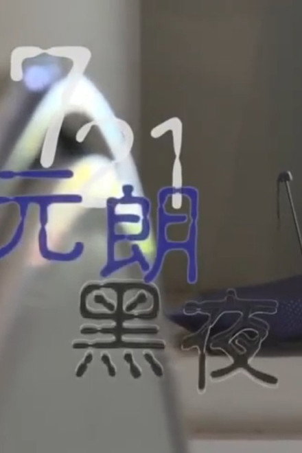 Hong Kong Connection: 721 Yuen Long Nightmare