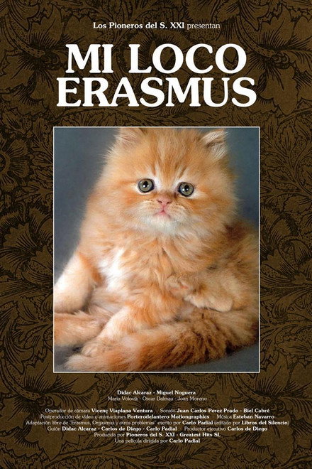 Mi loco erasmus