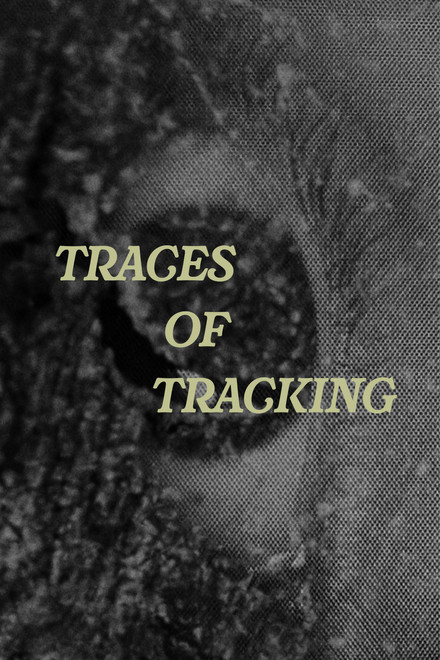 Traces of Tracking