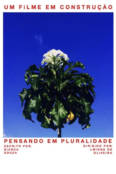 Pensando em Pluralidade