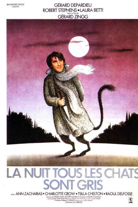 At Night All Cats Are Crazy