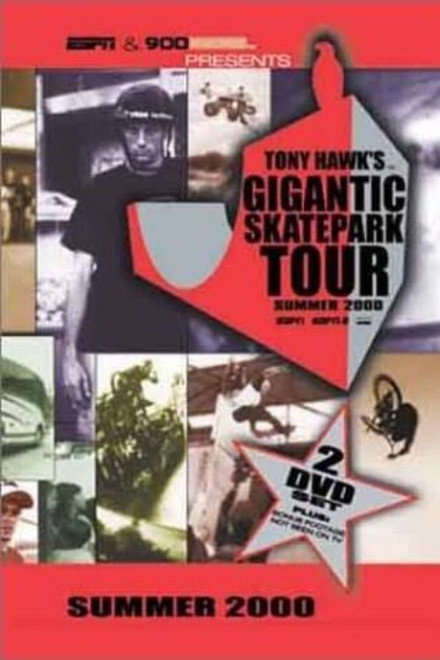 Tony Hawk's Gigantic Skatepark Tour 2000