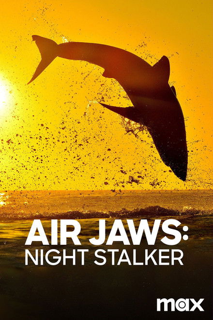 Air Jaws: Night Stalker