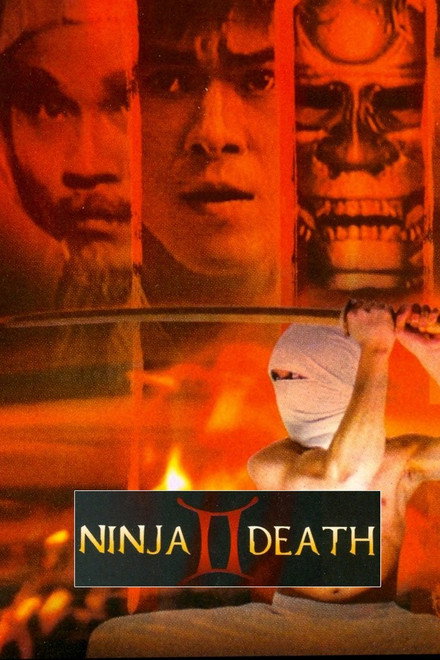 Ninja Death 2