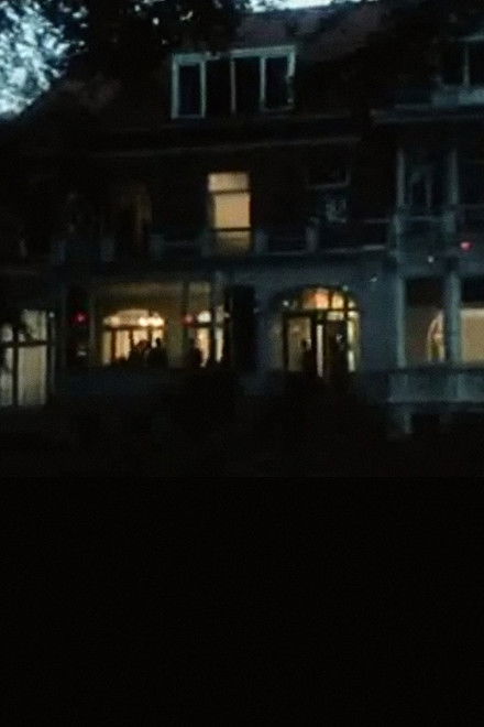 In Passing - The Party