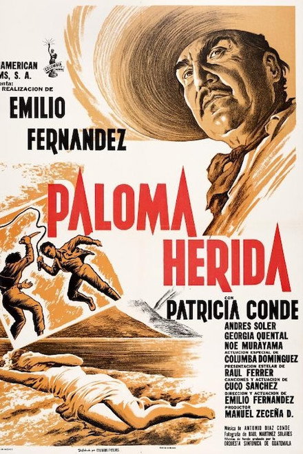 Paloma herida