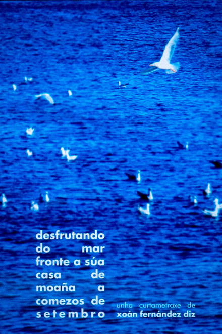 enjoying the sea in front of his house in moaña in early september