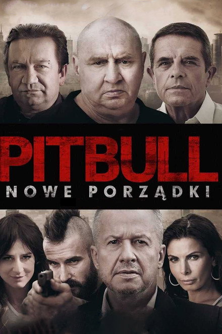 Pitbull: Public Orders