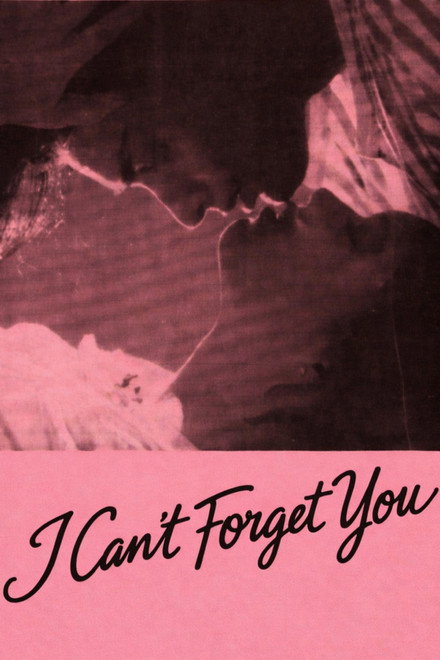 I Can't Forget You