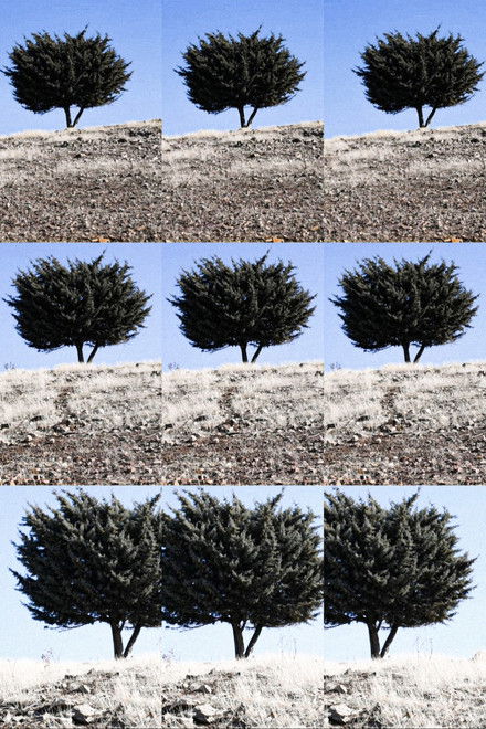 Where is the Final Destination?