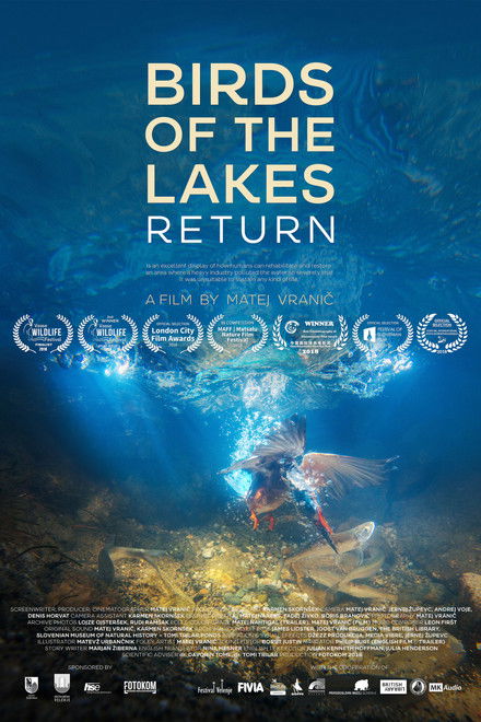 Birds of the Lakes Return