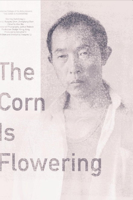 The Corn is Flowering