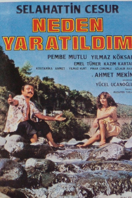 Neden Yaratıldım