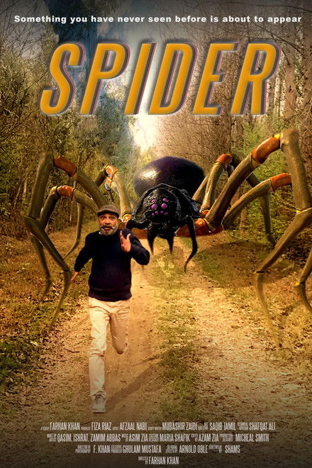Spider