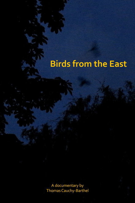 Les oiseaux de l'Est