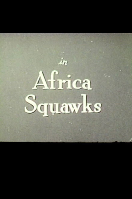 Africa Squawks