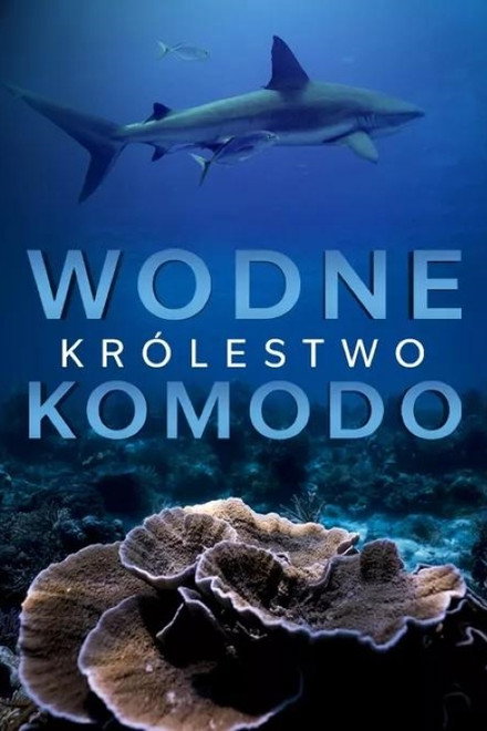 Wodne królestwo Komodo