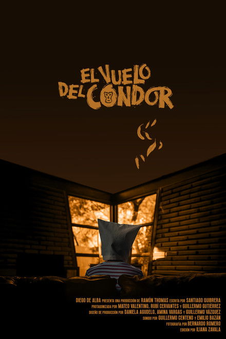 El vuelo del Cóndor