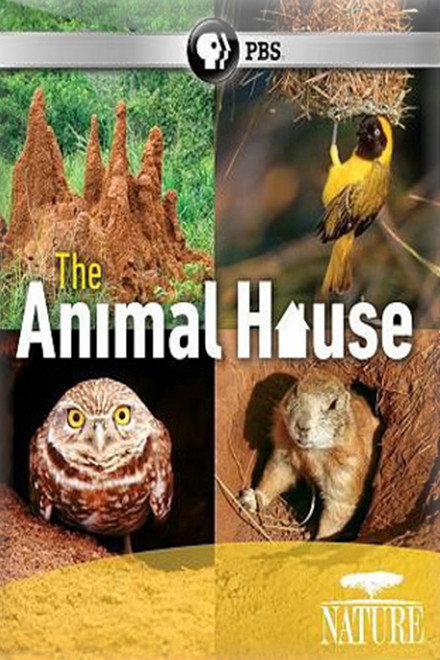 The Animal House